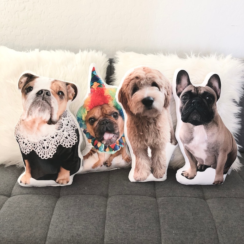 Custom Pet Photo Pillow College Student Gift Dorm Room Etsy