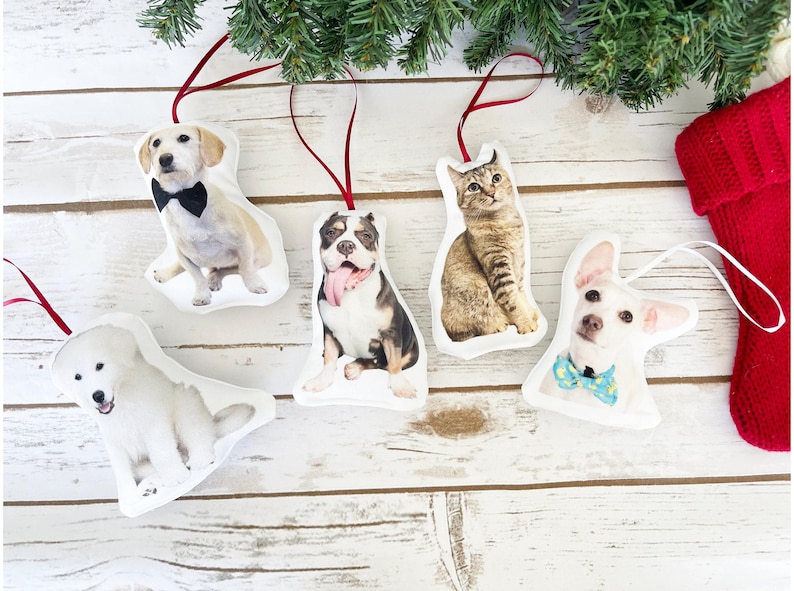 Custom Cat or Dog Ornament. 
Personalized ornament