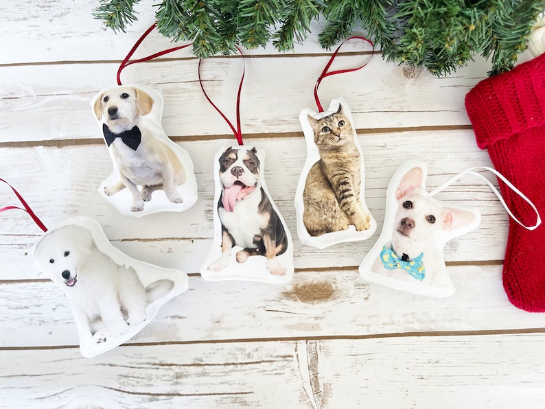 Peut inclure: Ornements de No&euml;l sur le th&egrave;me des animaux de compagnie. Les ornements pr&eacute;sentent des images d'un chien portant un n&oelig;ud papillon, d'un chat et d'autres chiens. Chaque ornement a un ruban rouge pour l'accrocher. Sur une surface en bois blanc.