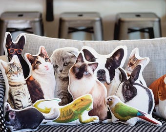 Custom Shaped Pet Pillow, Student Gift, Dorm Room, College Student