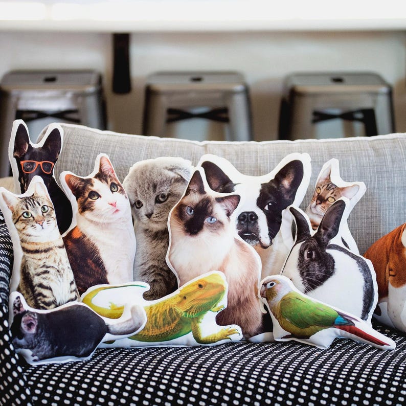 Custom Pet Pillow, Custom Dog Pillow, Custom Cat Pillow, Custom Shaped Photo Pillow, Personalized Photo Pillow, 3D Animal Pillow, Pet Loss, Going to College Gift, Pet Loss Pillow, Dorm Room Decor, Soft Double Sided, Pet Memorial