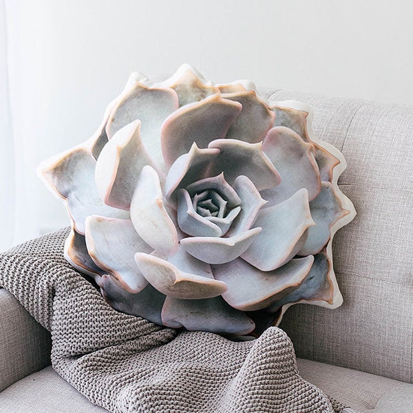 White Rose Succulent Pillow, Succulent Decor, Couch Art, Living and Home, Easter gift, Housewarming Gift, College Gift, Mother's Day Gift