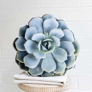 Topsy Turvy Succulent Pillow, Desert Pillow, Succulent Decor, College Gift , Living and Home, Nature Decor, Easter gift, Mother's Day Gift image 1