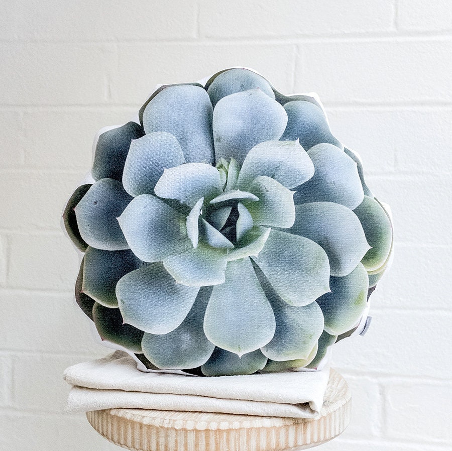 succulent shaped pillow
