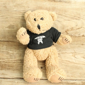 Oso de peluche vintage... Juguete coleccionable... Oso de peluche peludo. Oso de peluche. Oso de peluche. Oso Scraggies.