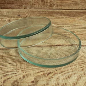 May include: Two clear glass petri dishes, one slightly overlapping the other, are displayed on a wooden surface. The dishes are circular with a low, cylindrical profile, and are made of transparent glass.
