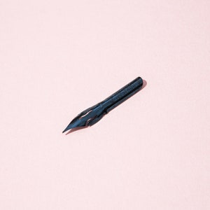 Pu&ograve; includere: Un pennino da calligrafia blu scuro con il testo "ISE RIDIN" inciso sul lato. Il pennino &egrave; su uno sfondo rosa chiaro. Il pennino ha una punta affilata e ritagli decorativi.