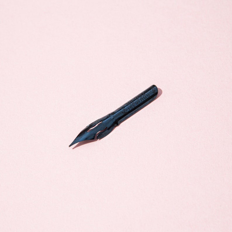 Pu&ograve; includere: Un pennino da calligrafia blu scuro con il testo "ISE RIDIN" inciso sul lato. Il pennino &egrave; su uno sfondo rosa chiaro. Il pennino ha una punta affilata e ritagli decorativi.