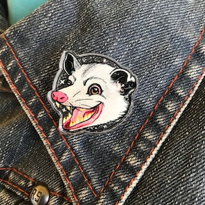 Trash Kitten Acrylic Pin