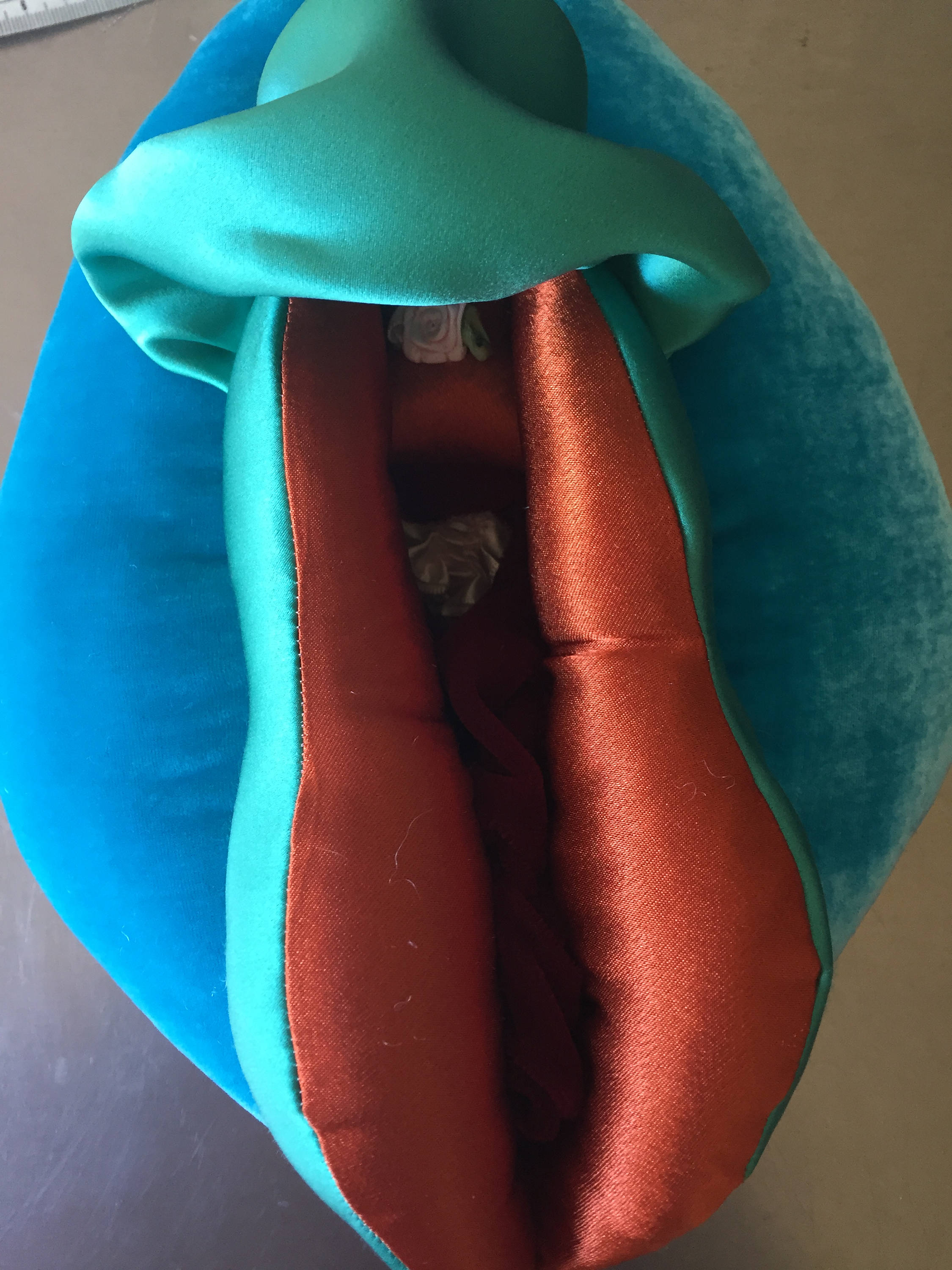 Silk Velvet Vulva Puppet Anatomical Vagina Pillow Etsy Australia