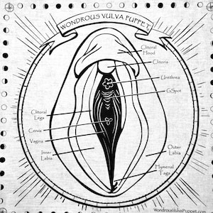 Istruzioni gratuite per l&#39;autoesame pelvico e del seno della Vulva University©