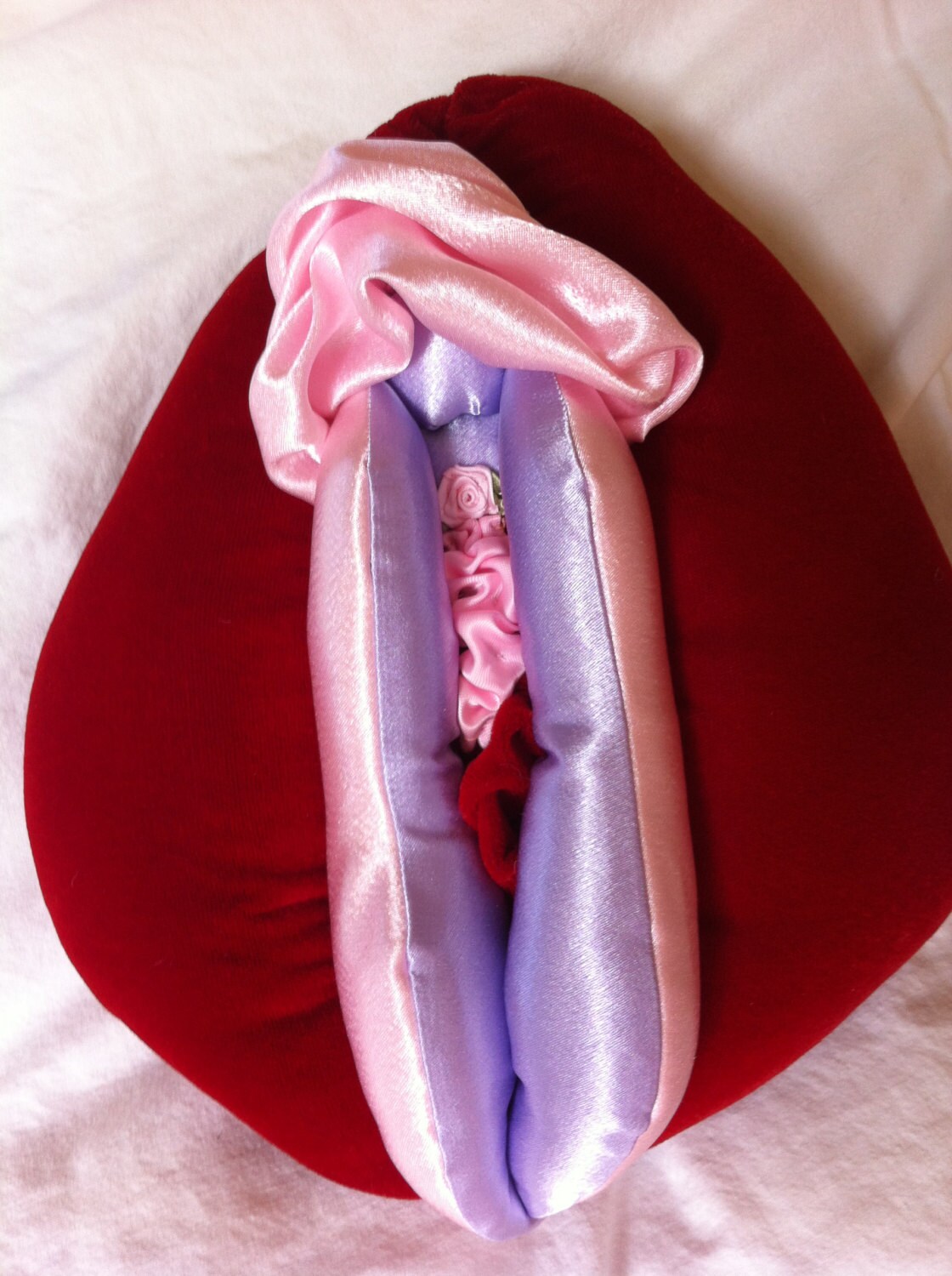 Original Wondrous Vulva Puppet, Anatomical Professional Devi aka Vagina Pillow Etsy Canada