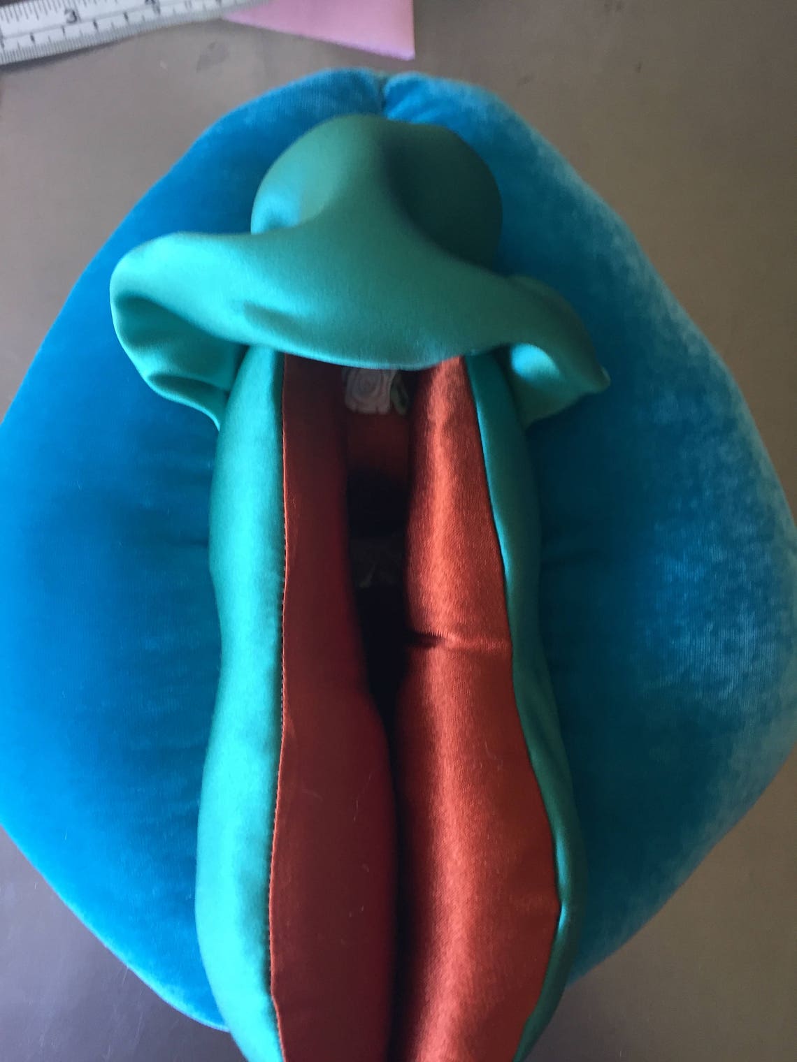 Silk Velvet Vulva Puppet Anatomical Vagina Pillow Etsy Australia