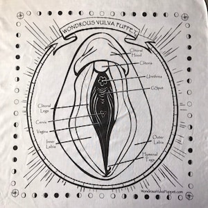 Vulva Map, anatomy printed on 100% cotton Bandanna