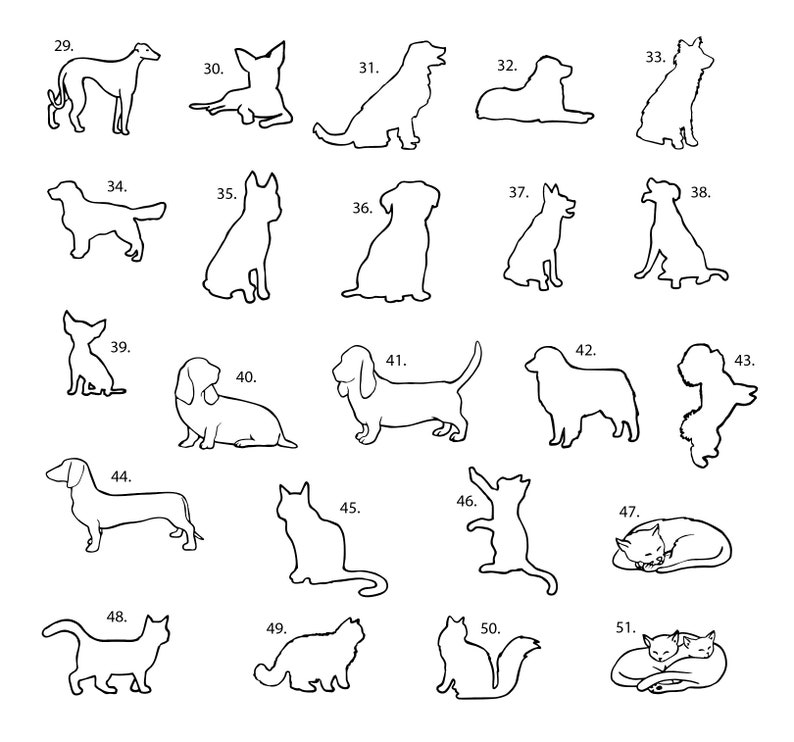 May include: Black and white line drawings of various dog and cat breeds. The drawings are numbered 29 through 51.