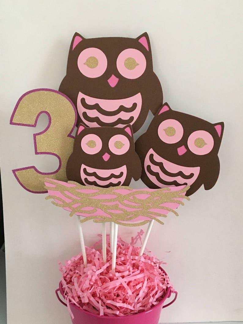 Owl Birthday Centerpiece Owl Themed Birthday Owl Party Etsy