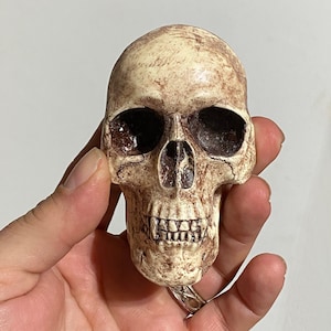 Puede incluir: Pequeña figura de calavera detallada en tonos beige y marrón. La calavera tiene cuencas de los ojos huecas, una cavidad nasal prominente y una dentadura completa. La superficie tiene un aspecto envejecido, con grietas e imperfecciones visibles.