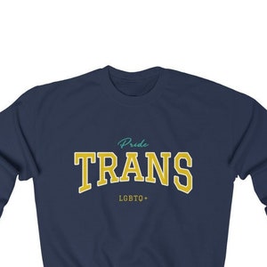TRANSGENDER PRIDE Unisex Heavy Blend Felpa girocollo