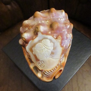 Large Sardonyx Conch Shell with Hand Carved Single Lady Cameo Gracious, Beautiful Cameo on Brown and Ivory Shell, Gift Box image 1