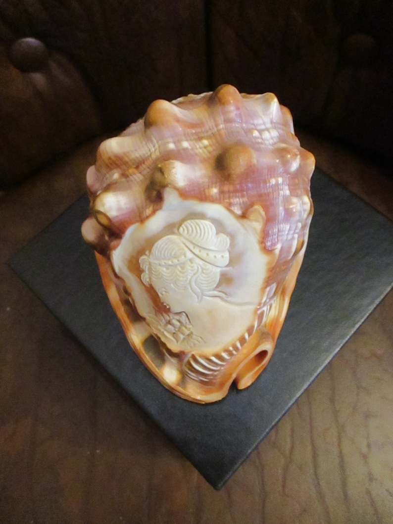 Large Sardonyx Conch Shell with Hand Carved Single Lady Cameo Gracious, Beautiful Cameo on Brown and Ivory Shell, Gift Box image 1