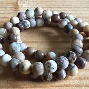 Dendritic Opal & Petrified Wood 8MM Bracelets | Metaphysical Jewelry