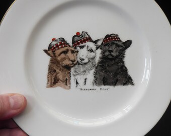 THREE SCOTTISH TERRIERS: Vintage Aynsley Display Plate. After a painting by the Victorian artist, Lilian Chevoit