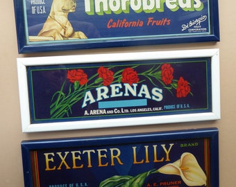 ORIGINAL ADVERTS: Set of Three Collectable Vintage 1940s AMERICAN Fruit Box Labels.  Each is individually framed