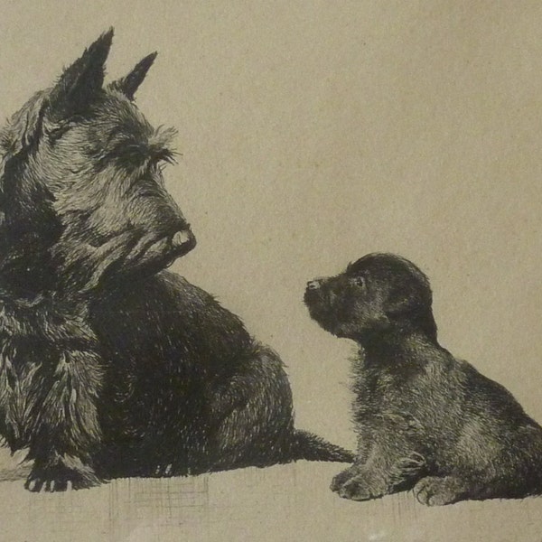 ORIGINAL 1930 ETCHING by Morgan Dennis: It's a Wise Child. Pencil signed & inscribed