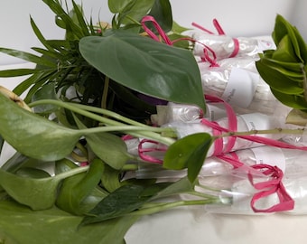 May include: An assortment of fresh green plants, including pothos and other leafy varieties. Some plants are packaged in clear plastic with white labels and tied with pink ribbon. The image showcases a variety of foliage.