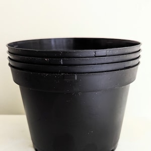 Four plastic 6 inch diameter plant growing pots with good drainage for transplants and  seeds.