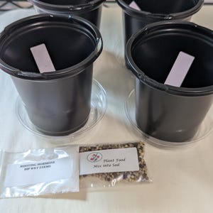 May include: Four black plastic plant pots with clear saucers, each containing a white plant label. Two small plastic packets are included: one labeled ROOTING HORMONE DIP WET STEMS and another labeled Plant Food Mix into Soil with a small flower icon.