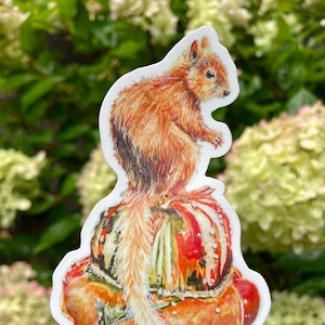 4x2" Squirrel and Squash Vinyl Waterproof Sticker, water bottle sticker, laptop decal, fall sticker, vermont sticker, turks turban squash