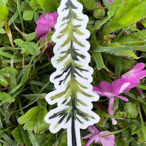 Pine Tree Waterproof Vinyl Sticker: Vermont Forest Decal (1x4&quot;)