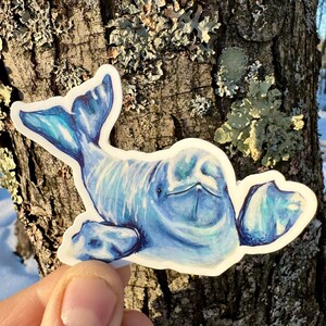 Beluga Whale Sticker: 3x3&quot; Waterproof Vinyl Decal