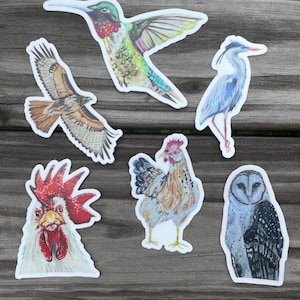 Bird Stickers Pack: Hand-Painted Watercolor Decals