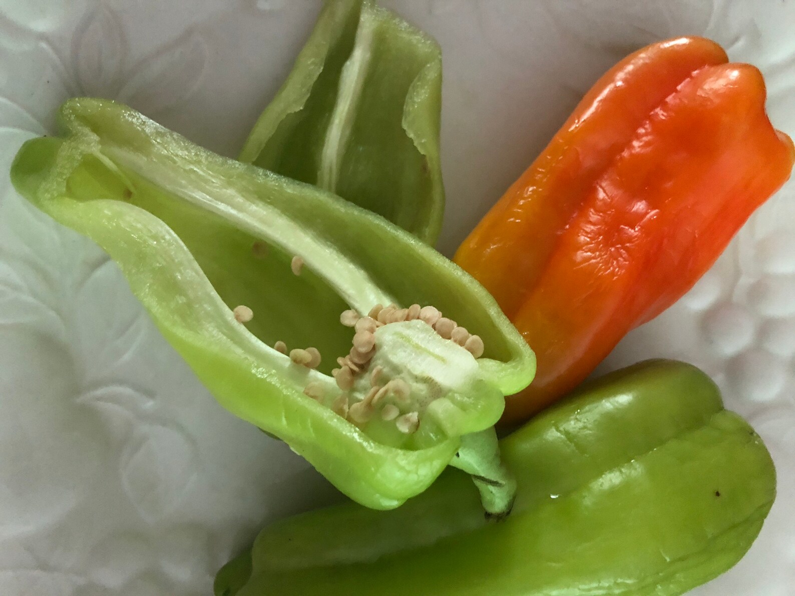 Cubanelle Sweet pepper seeds/ 25 seeds per order hand Etsy