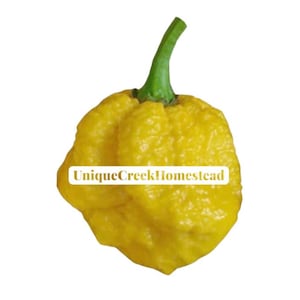 May include: A bright yellow pepper with a textured surface and a green stem. The pepper has a unique, bumpy shape. The text "UniqueCreekHomestead" is displayed on the pepper.