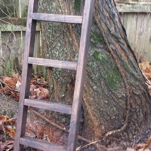 May include: A dark brown wooden ladder leaning against a tree trunk. The ladder has five rungs and is made of sturdy wood.