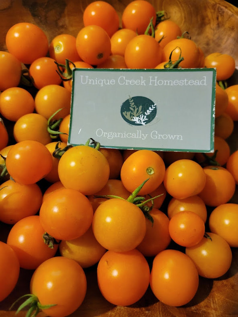 Pu&ograve; includere: Una ciotola di legno piena di pomodorini arancioni brillanti. Un cartello al centro recita "Unique Creek Homestead" e "Organically Grown". I pomodori hanno gambi verdi e un colore vibrante e fresco.