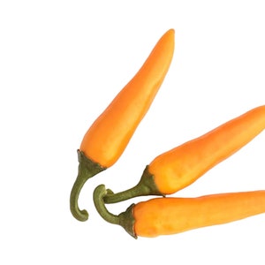 Chaotian YELLOW HOT PEPPER Seeds 10,000-50,000 Scoville Unique Creek Homestead Certified National Wildlife Sanctuary Southern Indiana Garden
