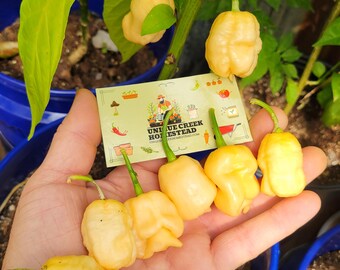 Peach Mutant X Pepper Seeds 1,000,000+ Scoville Super Hot Hottest