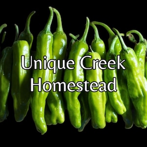 SHISHITO Pepper Seeds Mild Japanese Chili Peppers Great For Cooking Unique Creek Homestead Certified Wildlife Habitat