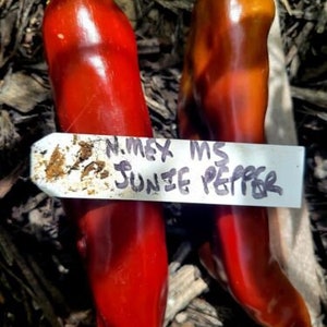 NuMex Junie Hot Pepper Seeds Organically Grown Unique Creek Homestead Certified