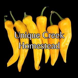 Golden Marconi Rosso Italian Pepper Seeds Organically Grown Unique Creek Homestead Certified