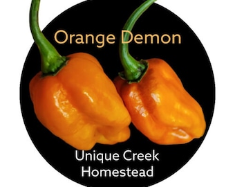 ORANGE DEMON Super Hot Pepper Seeds Organically Grown Unique Creek Homestead Certified National Wildlife Sanctuary Southern Indiana