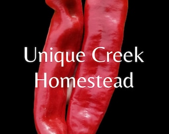 Guajillo Mirasol Pepper Seeds Mexican Cuisine Mild Chili 2500-5000 Scoville SHU Unique Creek Homestead Certified