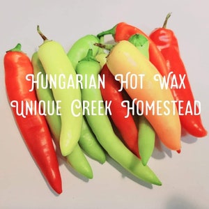 HUNGARIAN HOT WAX Pepper Seeds Organically Grown Unique Creek Homestead Certified National Wildlife Sanctuary Southern Indiana Garden