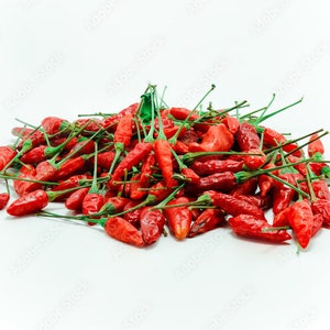 Kanthari Mulaku Indian Birdseye Chili PEPPER SEEDS Curry Seasoning Cuisine Medicinal Health Benefits Flavorful Fiery Heat Unique Creek