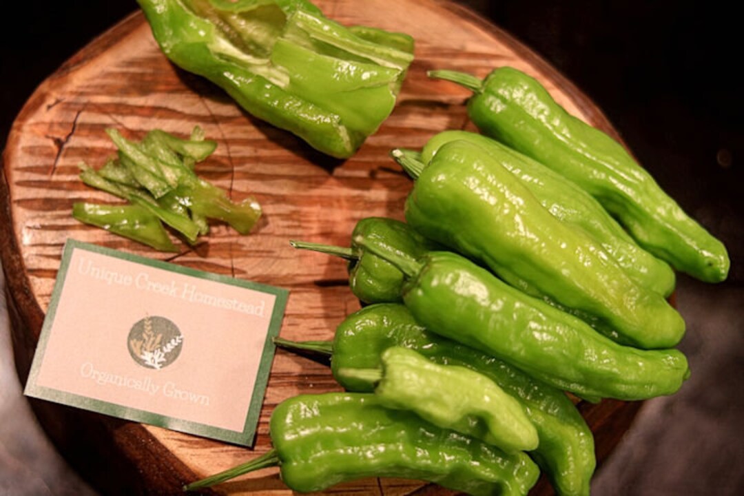 PEPPERONCINI Pepper Seeds Grown at Unique Creek Homestead Certified