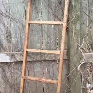 May include: A wooden ladder leaning against a weathered wooden fence. The ladder has five rungs and is made of natural wood.